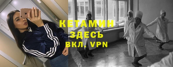 шишки Осинники