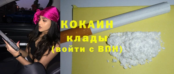 прущие грибы Каменногорск