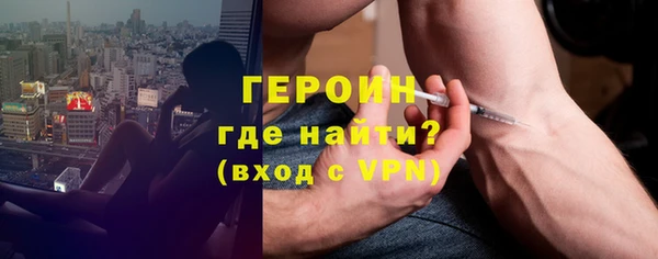 прущие грибы Каменногорск