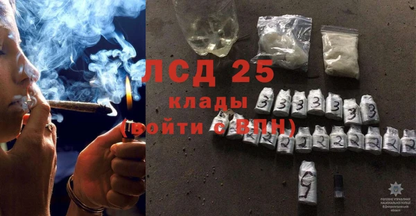 спиды Каменка