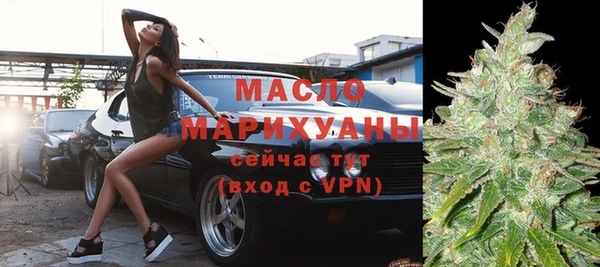 прущие грибы Каменногорск